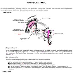 appareil lacrymal