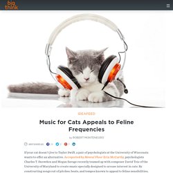 Music for Cats Appeals to Feline Frequencies