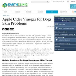 Apple Cider Vinegar for Dogs: Skin Problems