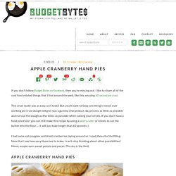 apple cranberry hand pies