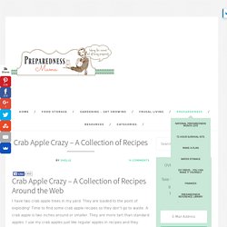Crab Apple Crazy - A Collection of Recipes