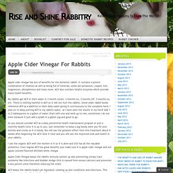 Apple Cider Vinegar For Rabbits