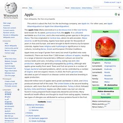 Wiki: Apple