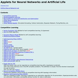 Java Applets for Neural Network and Artificial Life