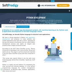 Python Web Application Development - Python Migration Services