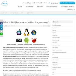What Is SAP (System Application Programming)?