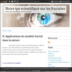 II. Applications du modèle fractal dans la nature - Notre tpe scientifique sur les fractales