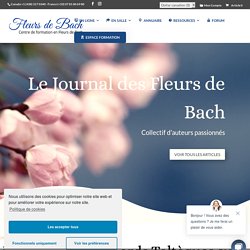 Appliquer les Quatre Accords Toltèques avec l’aide des fleurs de Bach - 4ème Accord