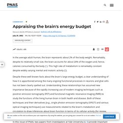 Appraising the brain's energy budget