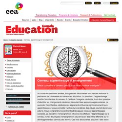 Cerveau, apprentissage et enseignement