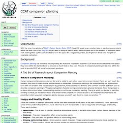 CCAT companion planting