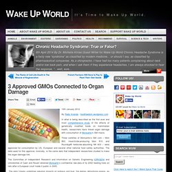3 Approved GMOs Connected to Organ Damage