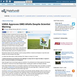USDA Approves GMO Alfalfa Despite Scientist Warning