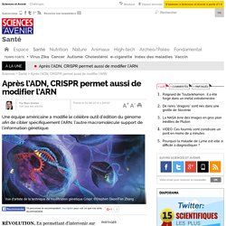 Après l’ADN, CRISPR permet aussi de modifier l’ARN