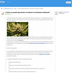 ¿Cómo se puede aprovechar al máximo la marihuana medicinal?
