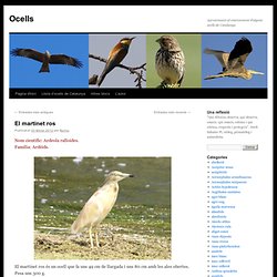 Aproximació al coneixement d’alguns ocells de Catalunya