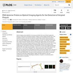 RNA Aptamer Probes as Optical Imaging Agents for the Detection of Amyloid Plaques