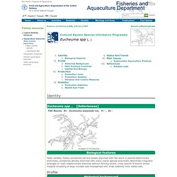 Fisheries & Aquaculture Eucheuma spp