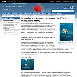Aquaculture in Canada: Integrated Multi-Trophic Aquaculture (IMTA)