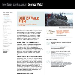 The Use of Wild Fish in Aquaculture Ocean Issues from the Seafood Watch program of the Monterey Bay Aquarium