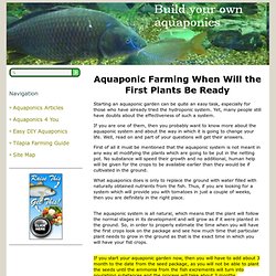 Aquaponic Farming When Will the First Plants Be Ready - Build Your Own Aquaponics