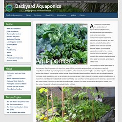 What Is Aquaponics - Backyard Aquaponics