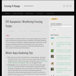 DIY Aquaponics: How to Garden in Cold & Freezing Climates