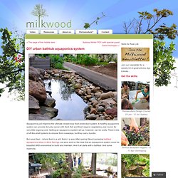DIY urban bathtub aquaponics system. Aquaponics just might be the 