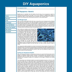 DIY Aquaponics - Aquaponics made easy so you can do it yourself - Benefical Bacteria for the Growbed