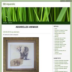 Aquarelles animaux - BB Aquarelle