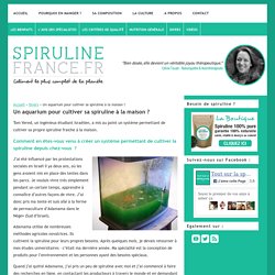 Un aquarium pour cultiver sa spiruline à la maison ?