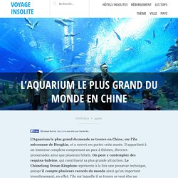 L’Aquarium le plus grand du monde en Chine
