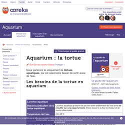 Aquarium tortue : tout savoir sur la tortue en aquarium