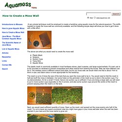 Aquatic Moss. How to Create a Moss Wall. Create backdrop using aquatic moss. How to grow Aquatic Moss. Info on Java Moss, Christmas Moss, Taiwan Moss, Peacock Moss, Stringy Moss