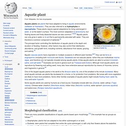 Aquatic plant