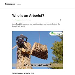 Who is an Arborist?