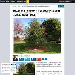Un arbre à la mémoire de Steve Jobs dans les jardins de Pixar
