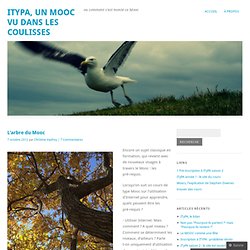 L’arbre du Mooc « ITyPA, un Mooc vu dans les coulisses