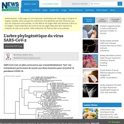L'arbre phylogénétique du virus SARS-CoV-2
