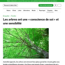 21-25 mai 2021 Les arbres ont une « conscience de soi » et une sensibilité