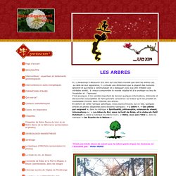 Les arbres - fleurdevie57s jimdo page!