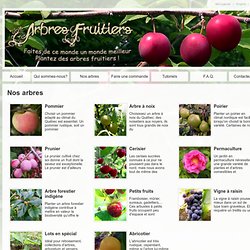 Catalogue en ligne, Arbre fruitier ancestral près de Montréal
