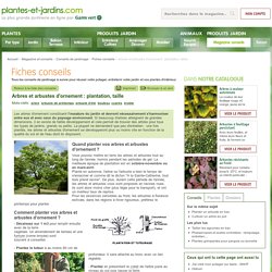 Arbres et arbustes d'ornement : plantation, taille
