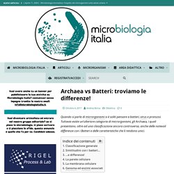 Archaea vs Batteri: troviamo le differenze!