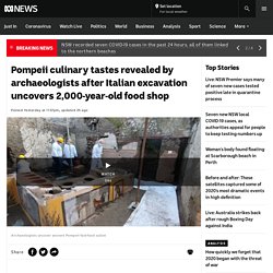 Pompeii culinary tastes revealed by archaeologists after Italian excavation uncovers 2,000-year-old food shop