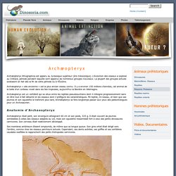 Archaeopteryx. En Images