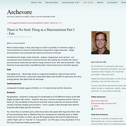 Archevore Blog - There is No Such Thing as a Macronutrient Part I - Fats