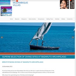 Bazaruto Archipelago dive packages