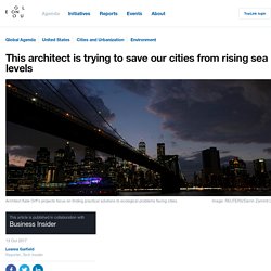 *****Adaptation: This architect is trying to save our cities from rising sea levels