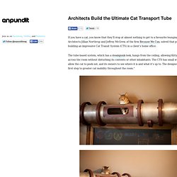 Architects Build the Ultimate Cat Transport Tube